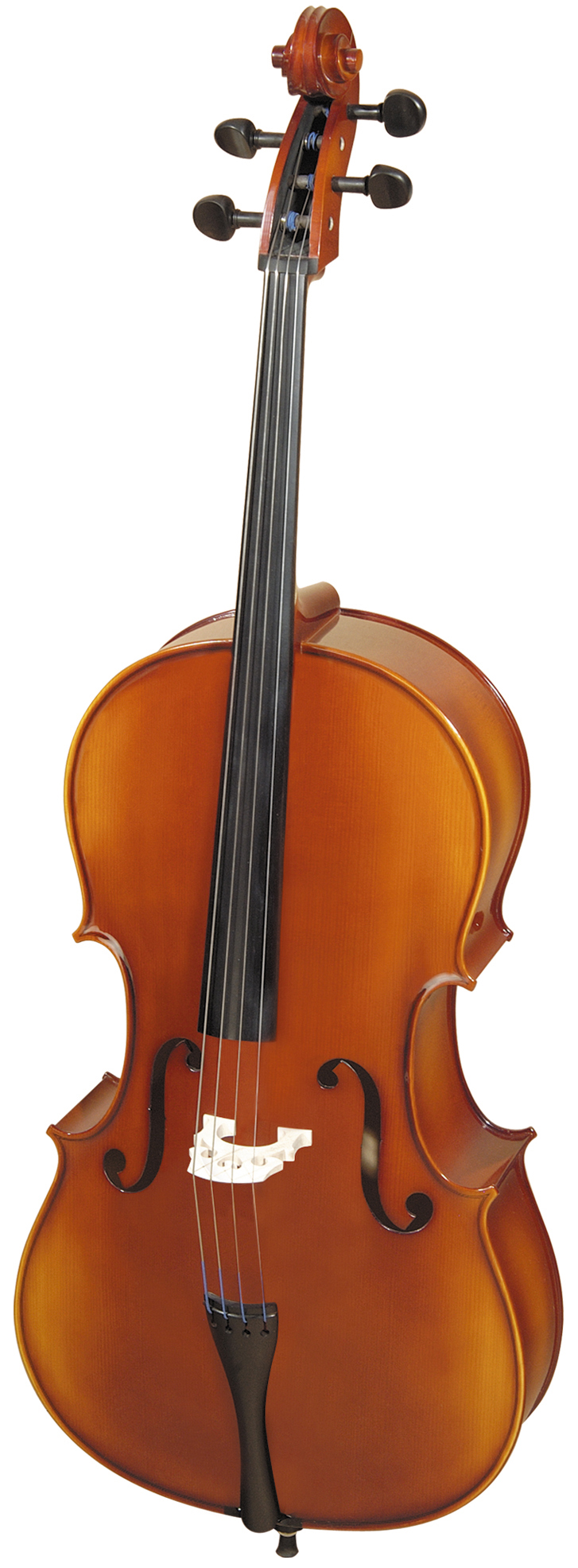 Hora Rhapsody C110